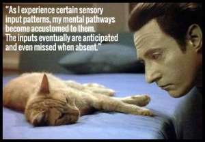Star Trek The Next Generation quote by Data