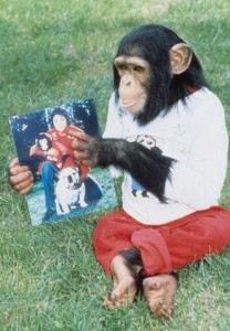 Michael Jackson's chimp Bubbles