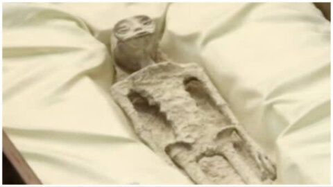 Alien body displayed in Mexican Congress.