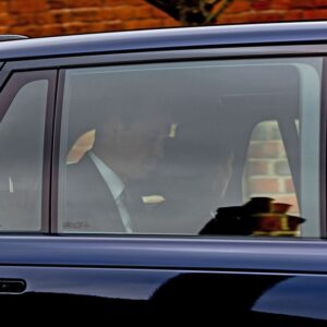 Kate and William, March 11th picture