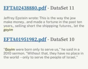 Epstein emails, Goyim reference